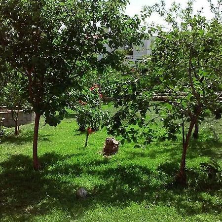 Sunny Garden Studio Афины Экстерьер фото