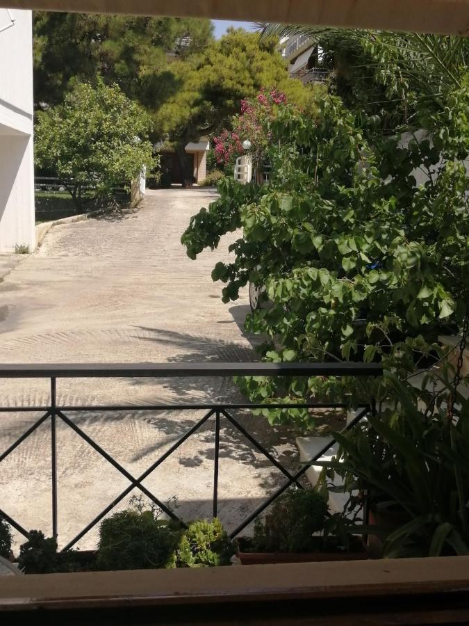 Sunny Garden Studio Афины Экстерьер фото