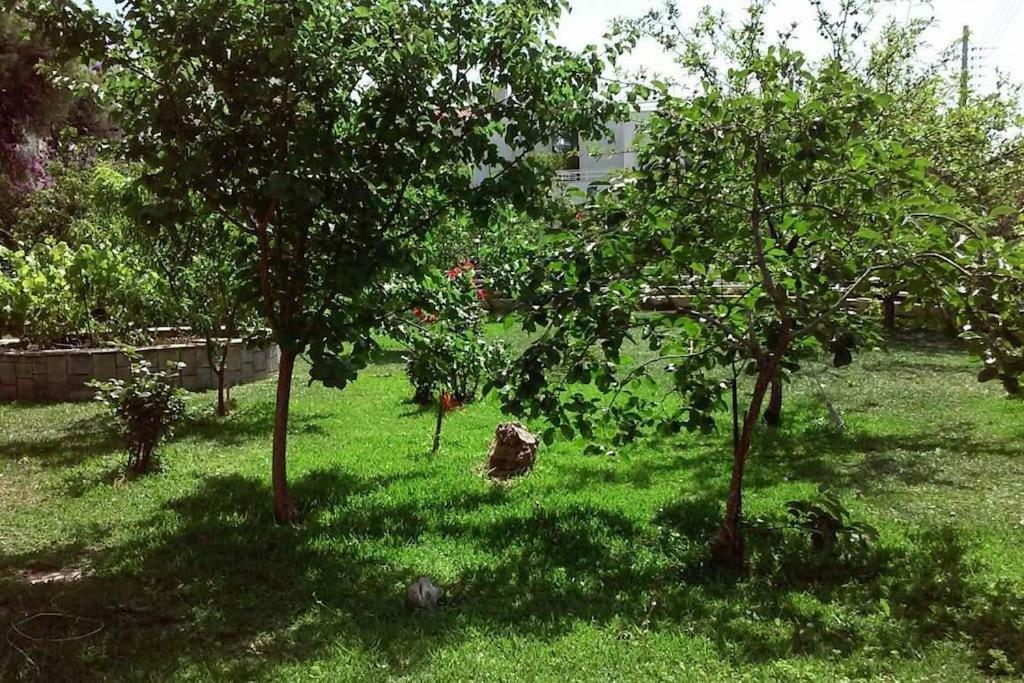 Sunny Garden Studio Афины Экстерьер фото